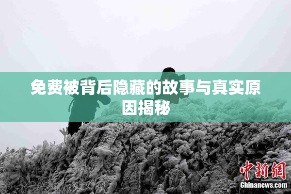 免费被背后隐藏的故事与真实原因揭秘