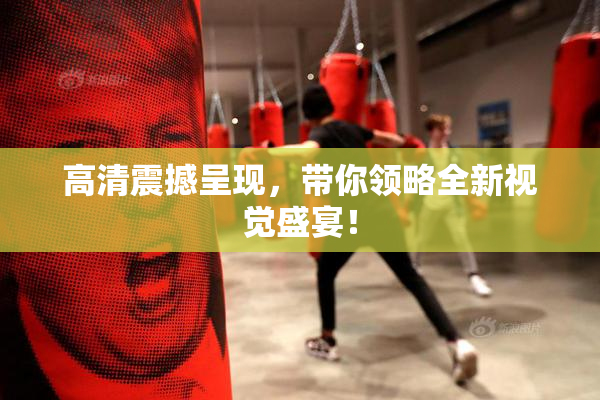 高清震撼呈现，带你领略全新视觉盛宴！