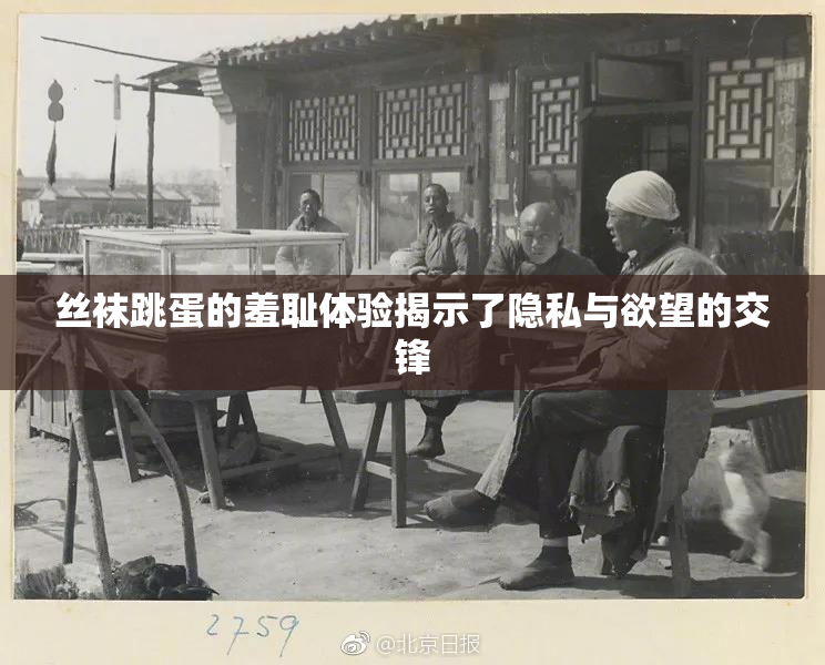 丝袜跳蛋的羞耻体验揭示了隐私与欲望的交锋