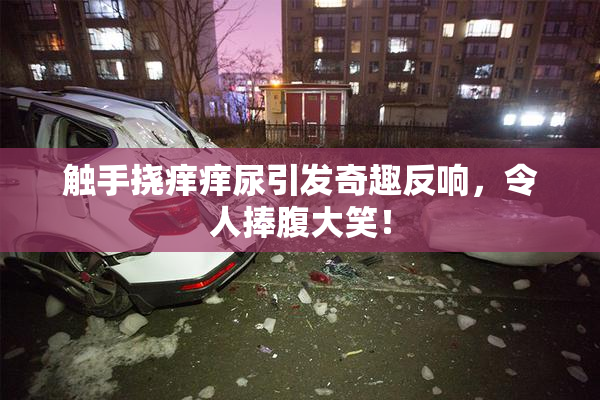 触手挠痒痒尿引发奇趣反响，令人捧腹大笑！