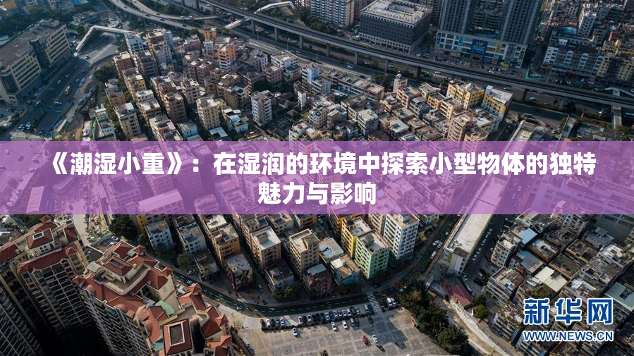《潮湿小重》：在湿润的环境中探索小型物体的独特魅力与影响