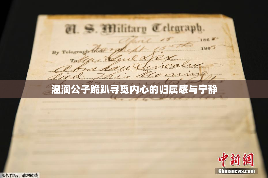 温润公子跪趴寻觅内心的归属感与宁静