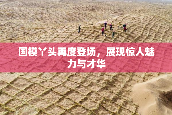 国模丫头再度登场，展现惊人魅力与才华