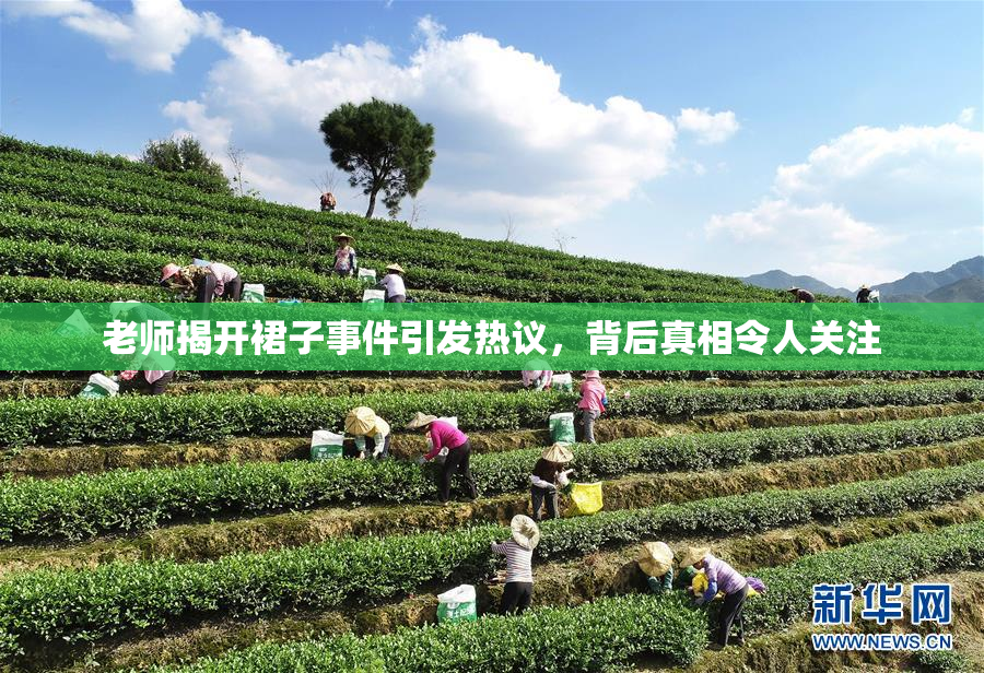 老师揭开裙子事件引发热议，背后真相令人关注
