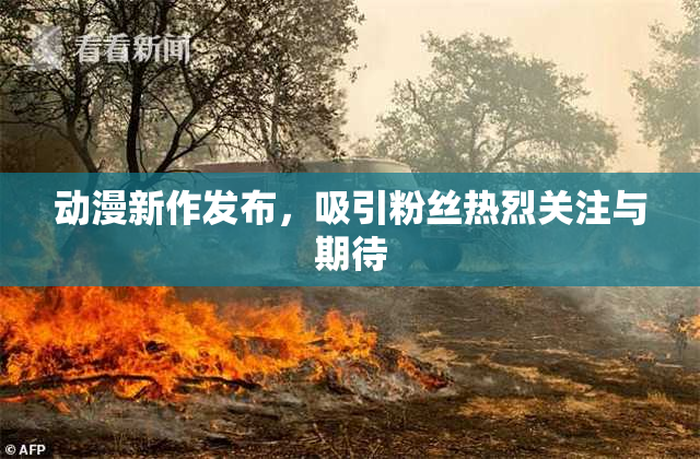 动漫新作发布，吸引粉丝热烈关注与期待