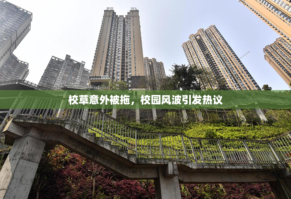 校草意外被拖，校园风波引发热议