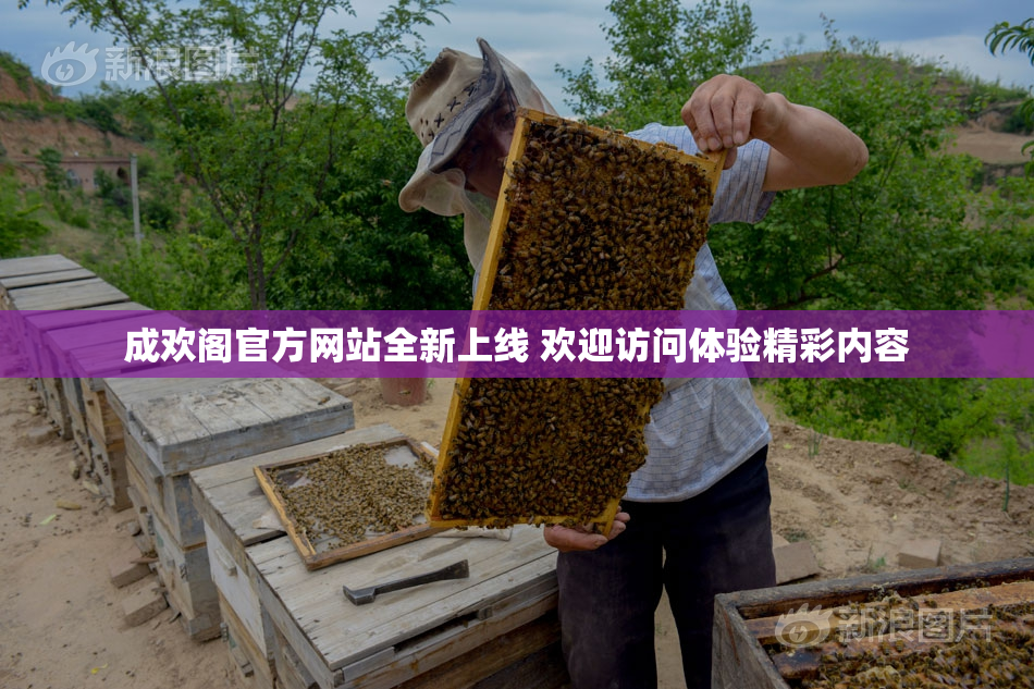 成欢阁官方网站全新上线 欢迎访问体验精彩内容