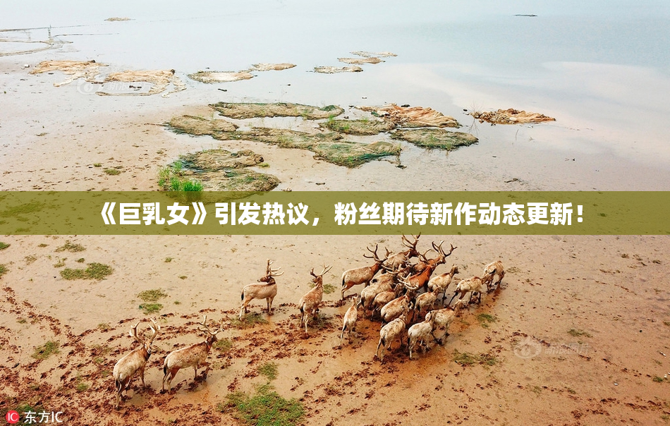 《巨乳女》引发热议，粉丝期待新作动态更新！