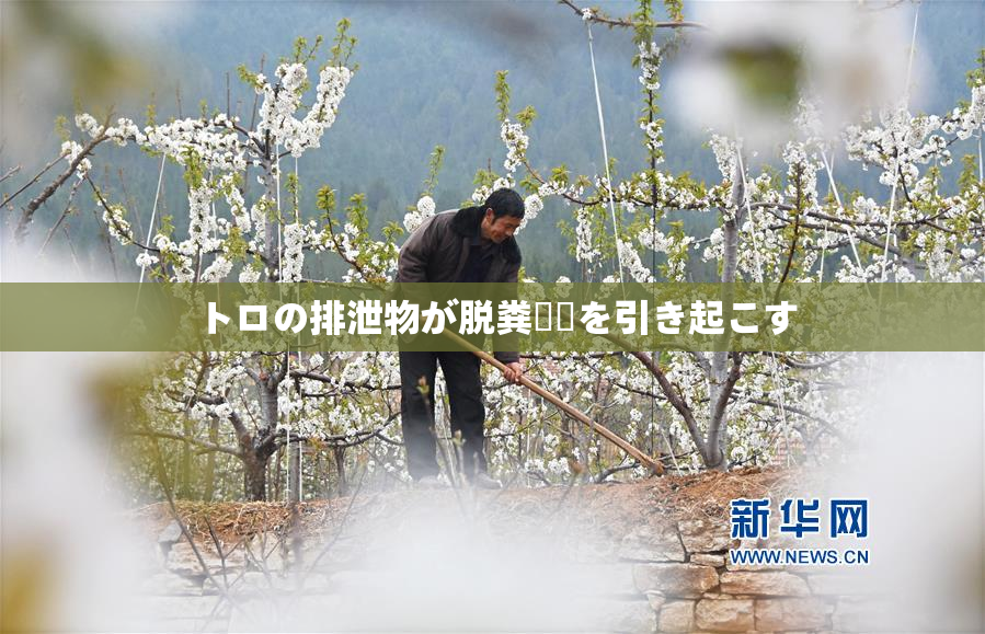 トロの排泄物が脱粪問題を引き起こす