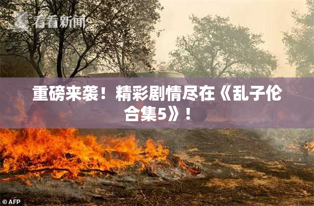重磅来袭！精彩剧情尽在《乱子伦合集5》！