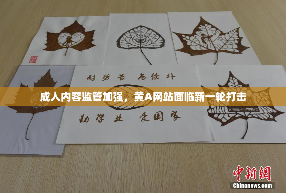 成人内容监管加强，黄A网站面临新一轮打击