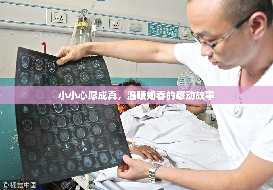 小小心愿成真，温暖如春的感动故事