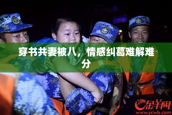 穿书共妻被八，情感纠葛难解难分
