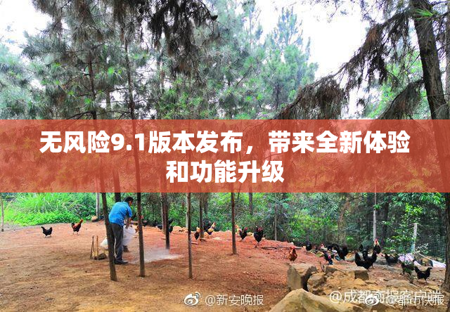 无风险9.1版本发布，带来全新体验和功能升级