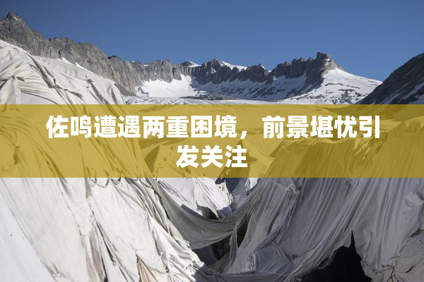 佐鸣遭遇两重困境，前景堪忧引发关注