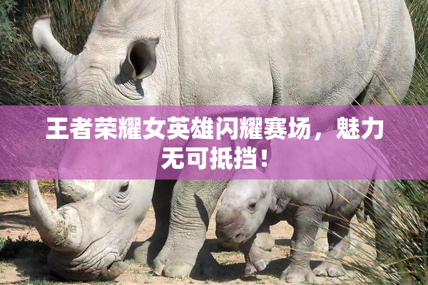 王者荣耀女英雄闪耀赛场，魅力无可抵挡！
