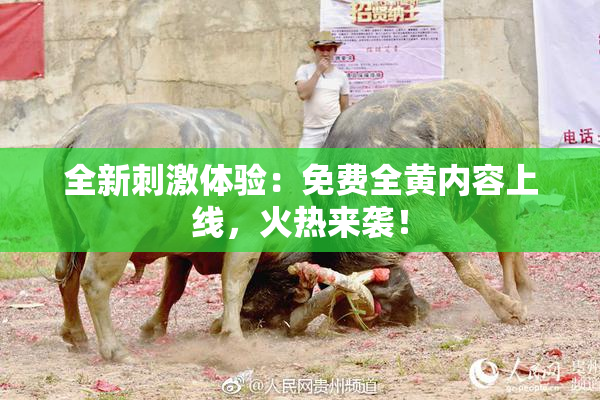 全新刺激体验：免费全黄内容上线，火热来袭！