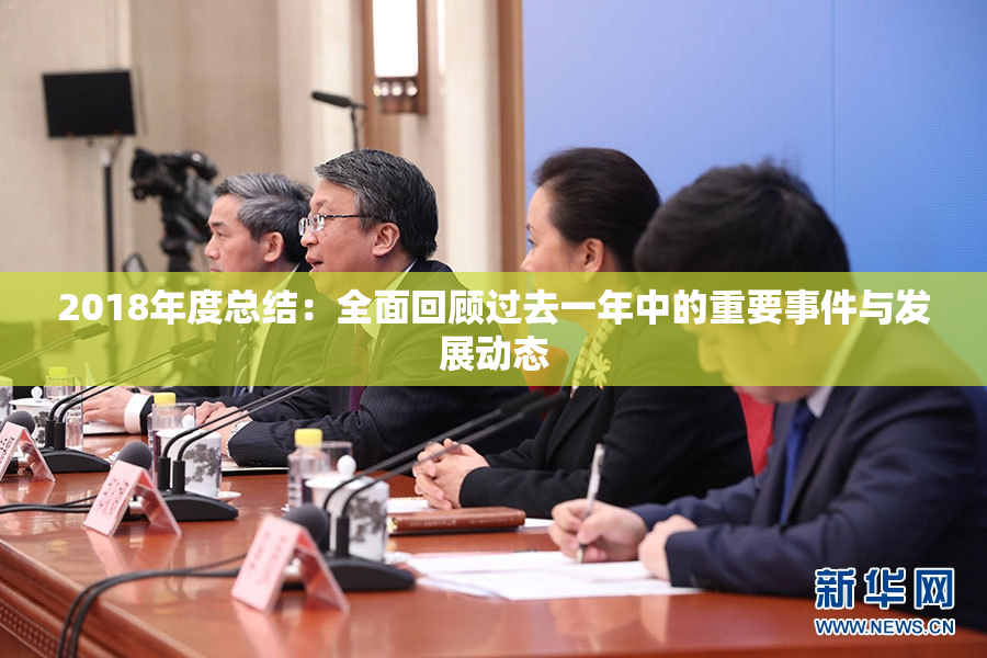 2018年度总结：全面回顾过去一年中的重要事件与发展动态