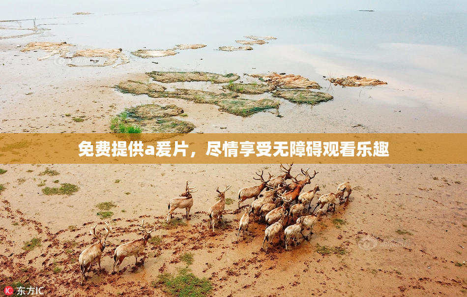 免费提供a爰片，尽情享受无障碍观看乐趣
