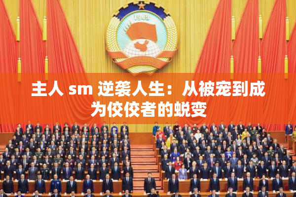 主人 sm 逆袭人生：从被宠到成为佼佼者的蜕变