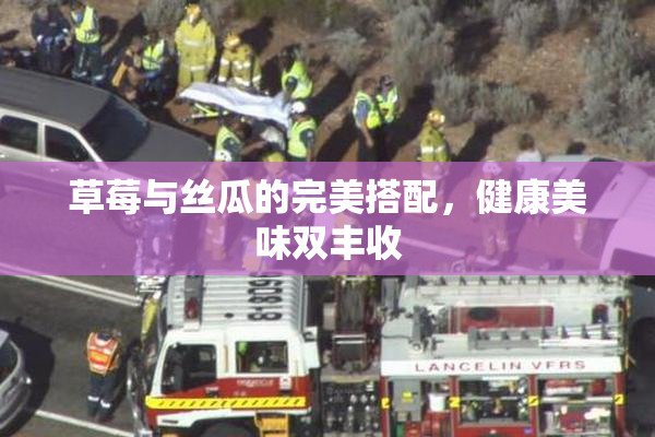 草莓与丝瓜的完美搭配，健康美味双丰收