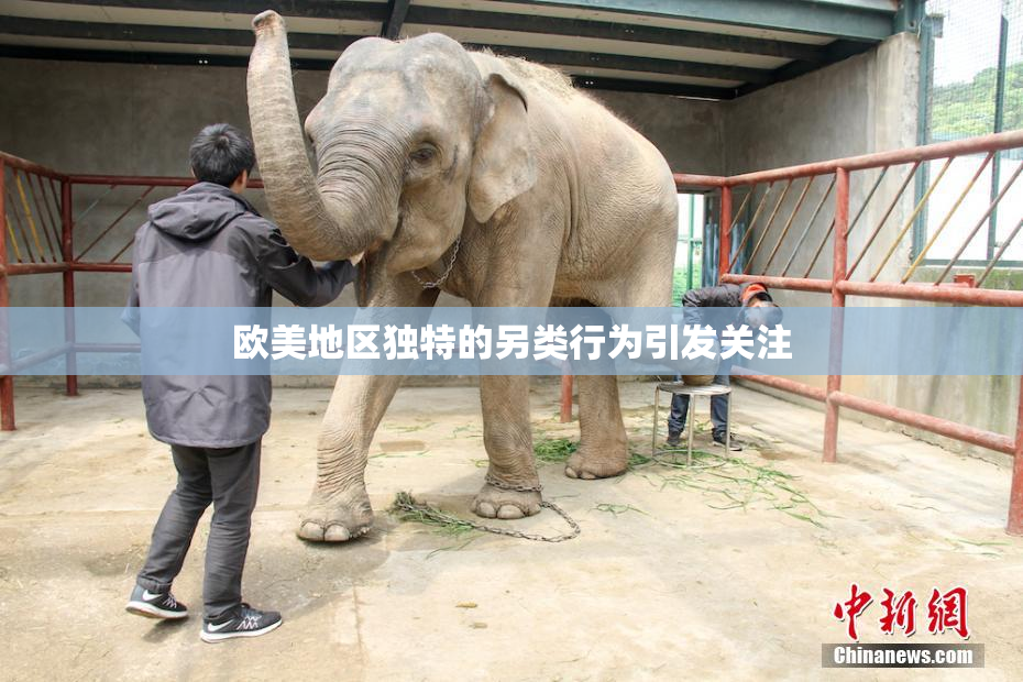 欧美地区独特的另类行为引发关注