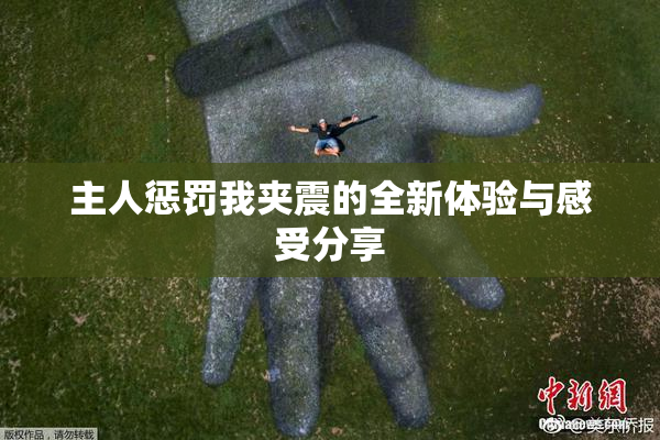 主人惩罚我夹震的全新体验与感受分享