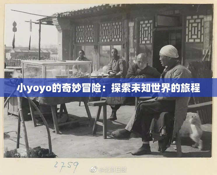 小yoyo的奇妙冒险：探索未知世界的旅程
