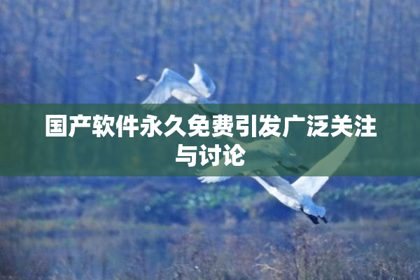 国产软件永久免费引发广泛关注与讨论