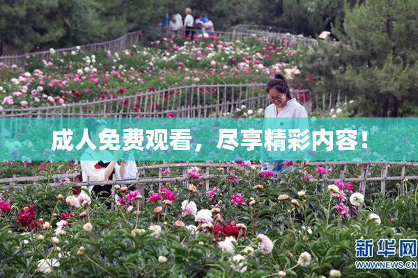 成人免费观看，尽享精彩内容！