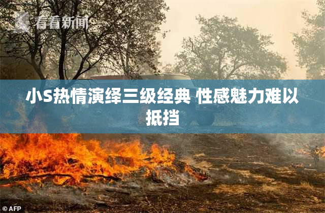 小S热情演绎三级经典 性感魅力难以抵挡