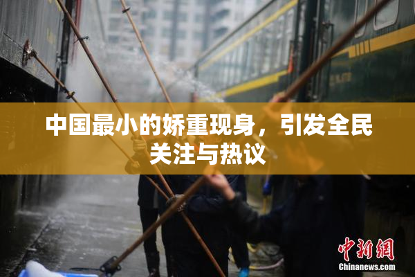 中国最小的娇重现身，引发全民关注与热议