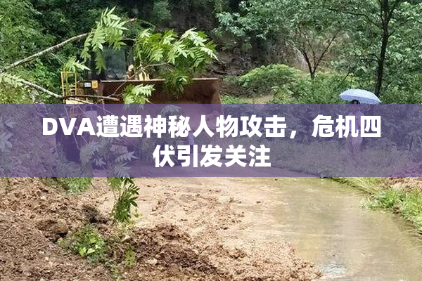 DVA遭遇神秘人物攻击，危机四伏引发关注