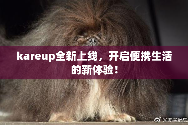 kareup全新上线，开启便携生活的新体验！