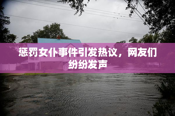 惩罚女仆事件引发热议，网友们纷纷发声