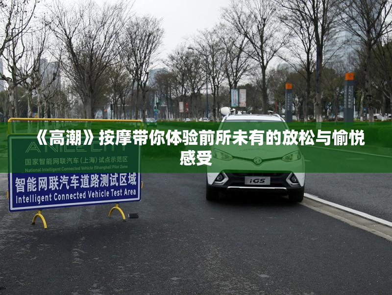 《高潮》按摩带你体验前所未有的放松与愉悦感受
