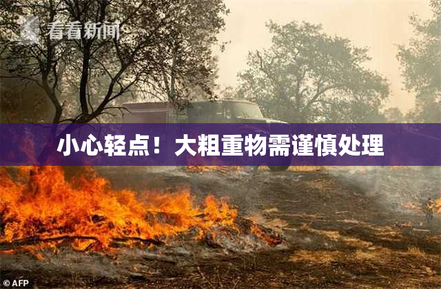 小心轻点！大粗重物需谨慎处理