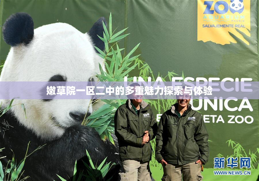 嫩草院一区二中的多重魅力探索与体验