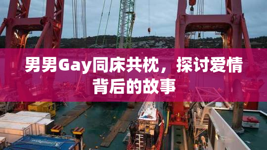 男男Gay同床共枕，探讨爱情背后的故事