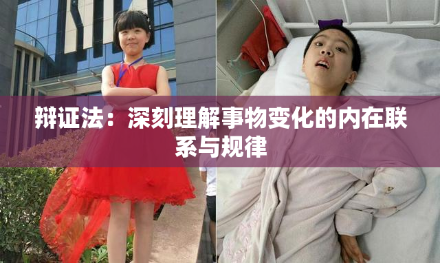 辩证法：深刻理解事物变化的内在联系与规律