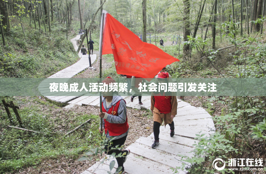夜晚成人活动频繁，社会问题引发关注