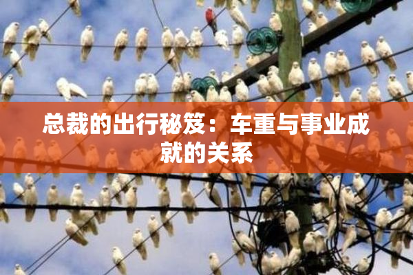 总裁的出行秘笈：车重与事业成就的关系