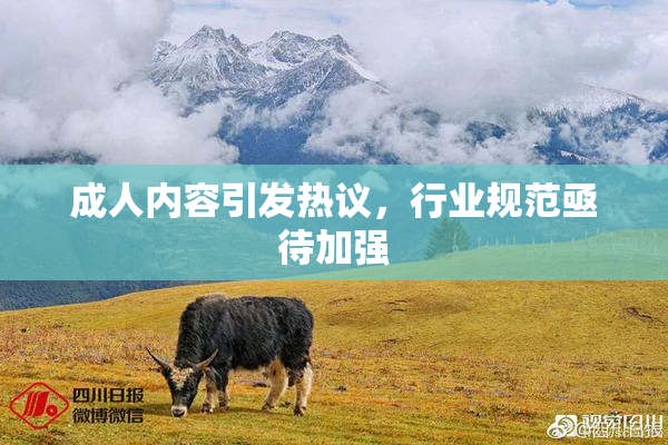 成人内容引发热议，行业规范亟待加强