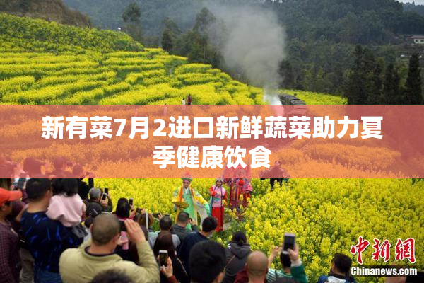 新有菜7月2进口新鲜蔬菜助力夏季健康饮食