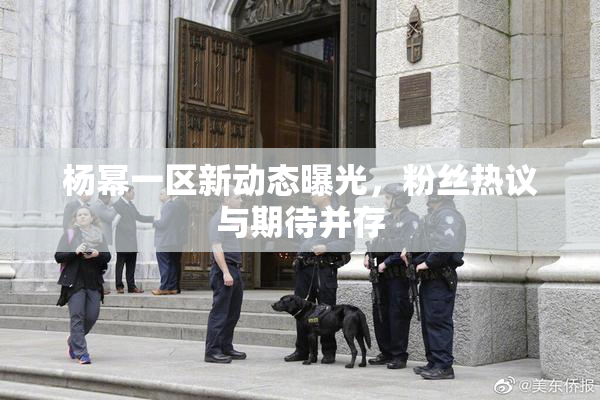 杨幂一区新动态曝光，粉丝热议与期待并存