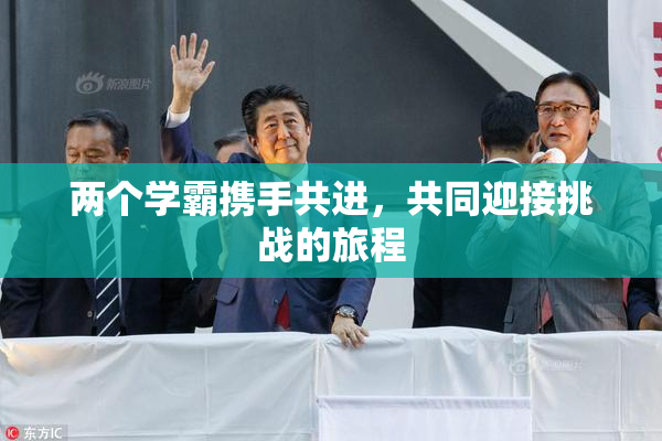 两个学霸携手共进，共同迎接挑战的旅程