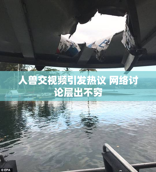 人兽交视频引发热议 网络讨论层出不穷