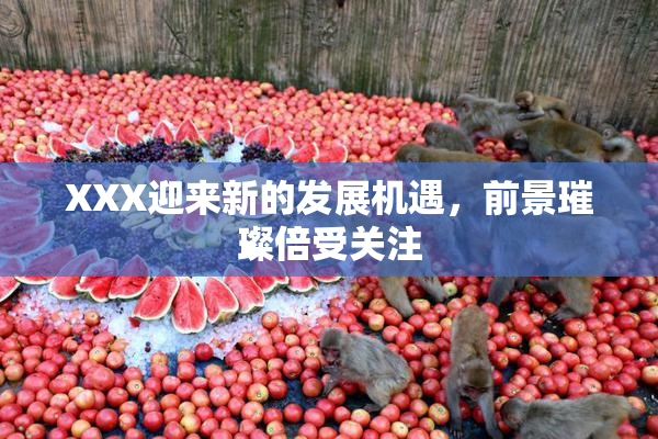 XXX迎来新的发展机遇，前景璀璨倍受关注