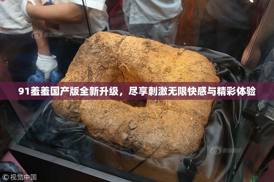 91羞羞国产版全新升级，尽享刺激无限快感与精彩体验