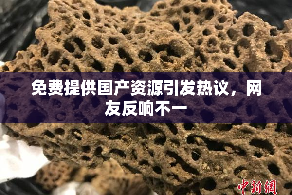 免费提供国产资源引发热议，网友反响不一